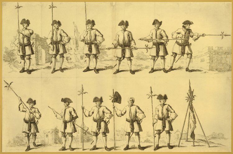 Spears & Pole Arms: The Main Battlefield Weapons